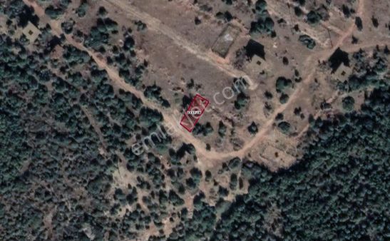 Didim Fevzipaşada Yatırımlık Uygun Fiyatlı Arsa