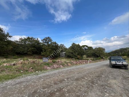 Kocadağ Zirvesinde Hayallerinizi Gerçekleştirme Fırsatı