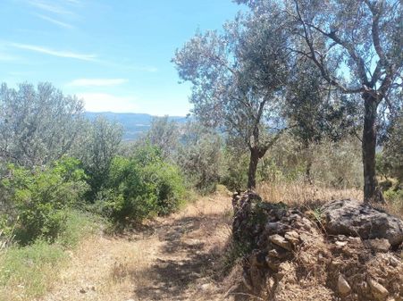 Havran Sarnıç Mah.köy Dibi 135 M2 İmar Dibi