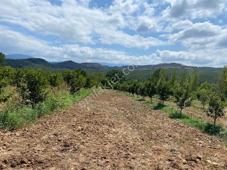 Bayramiç Tongurlu Köyü 8.072 M2 Tapulu Satılık Arazi