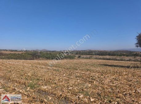 Bursa Karacabey Eskikaraağaç Da 12 Dönüm Satılık Tarla