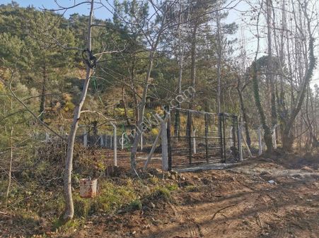 Havran Köylüce 203 M2 Dere Cepheli Köy İçi Hobi Bahçe