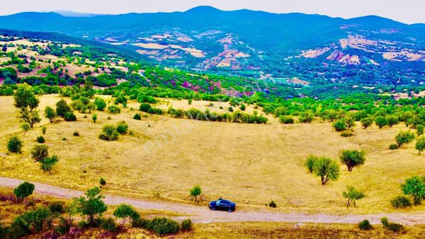 Gama Gayrimenkul'den Muhteşem Bir Tarla (yatırım Tavsiyedir)