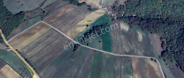 Kocaeli/derince Tahtalı Köyünde Satılık 9315 M2 Arazi