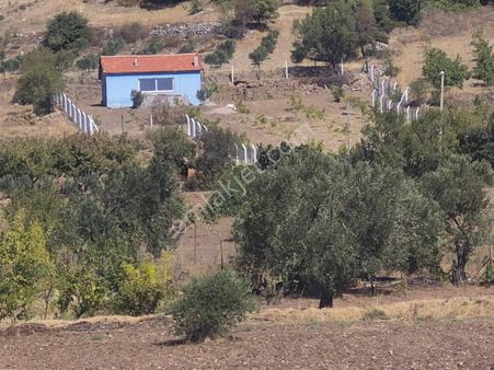 Torbalı Emlak'tan Akhisar Doğankaya'da Doğa Harikası 3200m2 Bahçede 110m2 Müstakil Bağ Evi Satılık