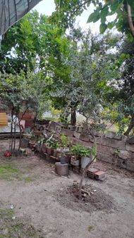 Denizli Deliktaş Mahallesinde Satılık