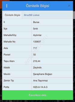 Dialog Time'dan Bursa İznik Aydınlar'da Yatırımlık Zeytinlik