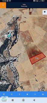 Fiyat Düştü Acil Satılık Tarım Arazisi M2 En Uygun Tarla 21dönüm