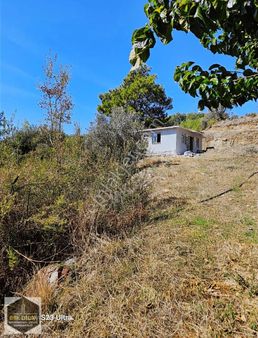 Bmk'dan Antalya Kumluca Güzörende Müstakil Tapulu Tarla Ve Ev