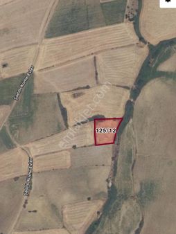 Melek Demir Gayrimenkul Çanakkale Evreşe Şadıllıköyünde Tarla