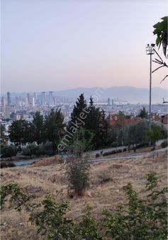 Artenew Gayrimenkul'den Bornova Atatürk Mh De 3 Cepheli Manzarali