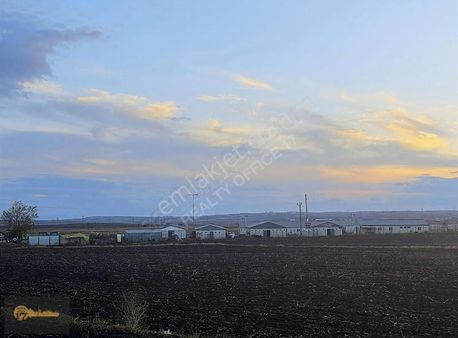 Tekirdağ Çorlu Seymende Satılık Asfalt Cephe Tek Tapu 101 Dönüm