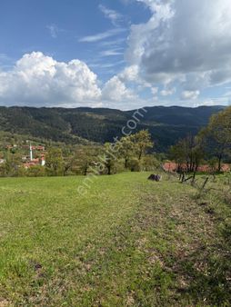 Balıkesir Kepsüt Ta Acil Satılik Arsa