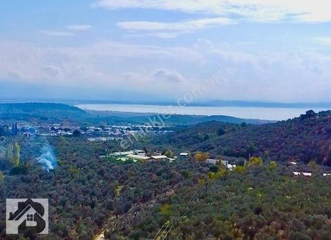 ⫸sadece Akçay Best Emlaktan⫷ Güre'de Asfalta Sıfır ^zeytinlik^