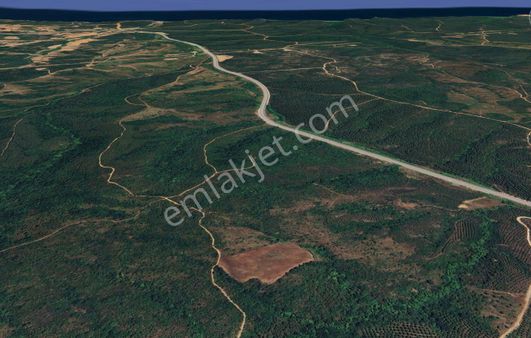 Çanakkale Lapseki Dişbudak’ta 6626 M2 Satılık Tarla