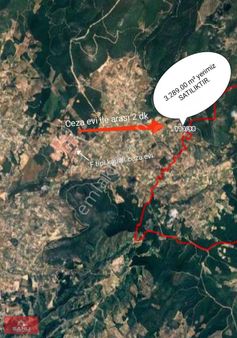 Buca Kırıklar Mah. Tek Tapu Zeytinlik