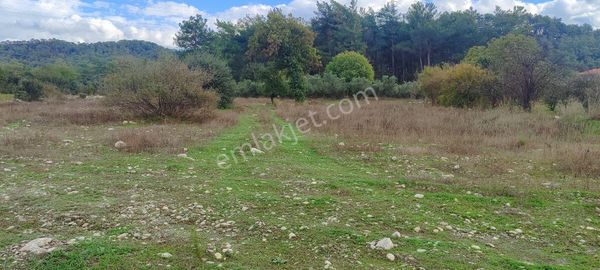 Muğla Ula Karabörtlen De Satılık