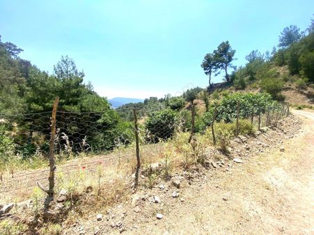 🔴🔴aktif'ten Burhaniye Çamtepe'de Doğa Manzaralı İçerisinde Suyu Olan 414m2 Satılık Bahçe🔴🔴