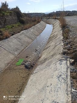 Nazilli Alkan Gayrimenkul Den Satılık Zeytinlik