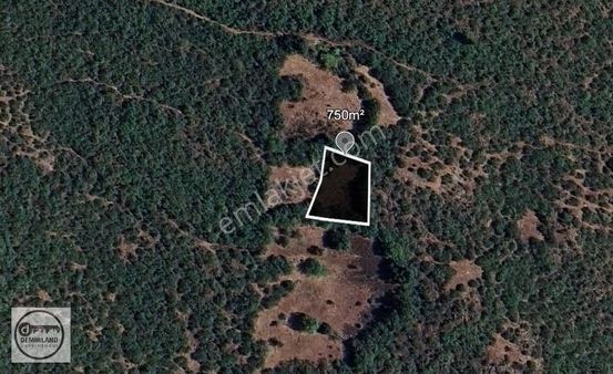 Demirland'dan Satılık Balıkesir Kepsut'ta 750m² Yatırımlık Tarla