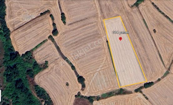 C21 Bal'dan Balıkesir/susurluk/yağcıköy// 9100 M2 Satılık Tarla