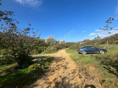 Kocaali Melen Mahallesi Verimli Muhteşem Fındık Bahçesi 8744 M2