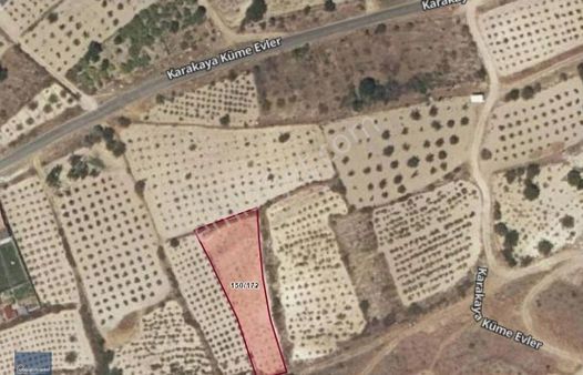 Piayasaya İnat Şok Fiyat Alan Kazanır Fırsat Ürün