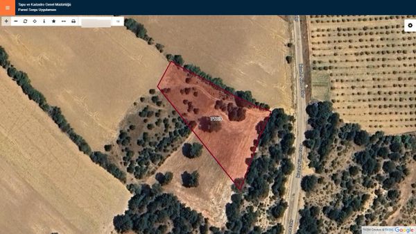 Başkan Emlaktan Satılık Mihalıççık Kozlu'da 3.519 M2 Tarla