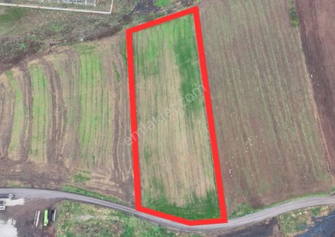 Kemalpaşa Halilbeyli 10.084m2 Arazi Sanayi İmarına Girecek Bölge