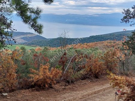 Yenişehir Mecidiyeköy'de Doğa Ve Göl Manzaralı 324,m2- Bahçe