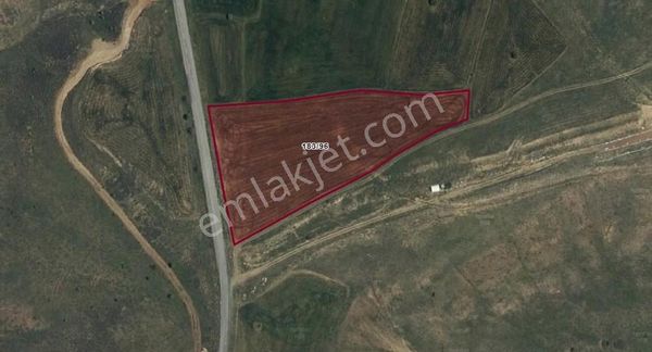 Amarat'ta Yol Üzerinde Ev Yapımına Uygun Tarla