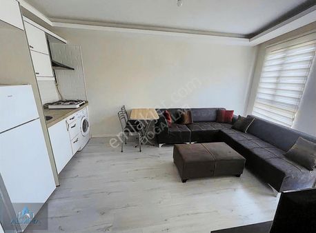Almina'dan Site İçi Lüks Tasalımlı 1+1 Kiralık Arakat Daire