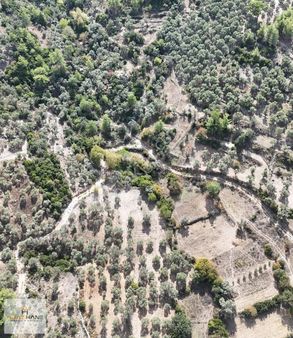 Milas Söğütçük Kadastral Yola Sıfır 470 M² Satılık Köşe Tarla