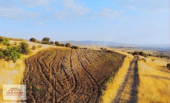 Ayaşta Tek Tapu Kadastro Yolu Kenarı 50 Dönüm Tarla