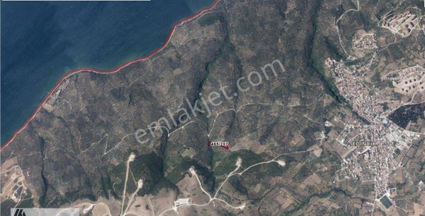 Arte'den Edincik Te 4.420 M2 Zeytinlik Satılıktır