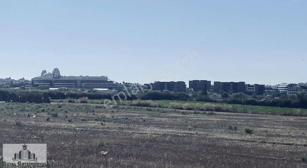 Gündoğduda Satılık Tarla