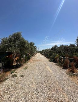 Capital Emlaktan Aslanlar Yol Kenarı Atadan Bölme