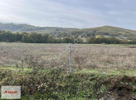 Samsun Kavak Çalbaşı Mah Ev Yapımına Uygun Köy İçi Tarla