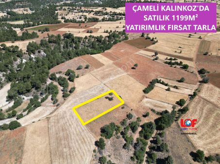 🦋lobby Fortis'ten Satılık Çameli Kalınkoz'da 1199 M² Arazi🦋