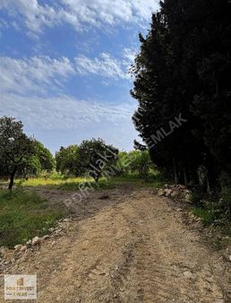 Çakırlarda 1000 Metrekare Anayola 700 Metre