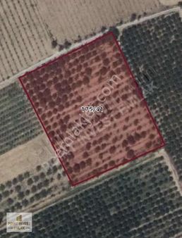 Point İnvestden Satılık Fırsat Arazi