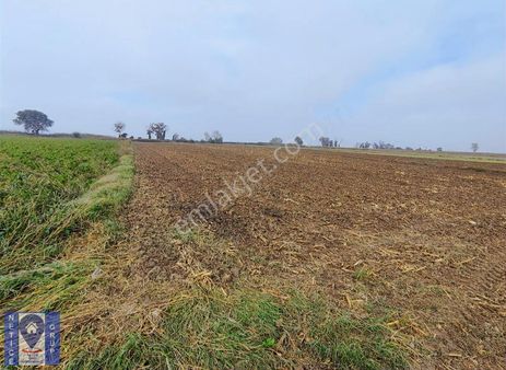 Bursa Mustafakemalpaşa Tepecikte Tarla (8.550 M2)