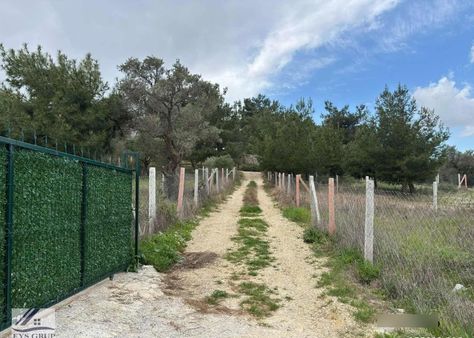 Torbalı Çapak Köy Meydanı Yakını Satılık 289 M2 Ve 623m2 Arsalar