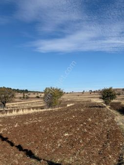 Denizli Honaz Yukarıdağdere 1540 M2 Arazi