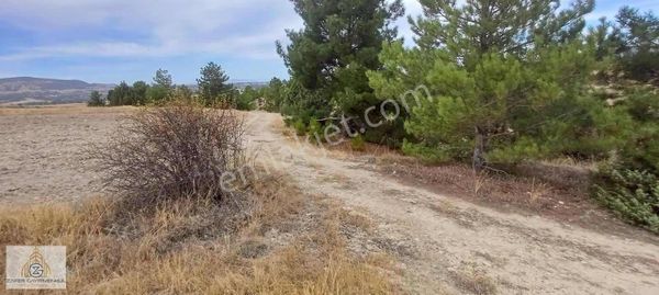 Burdur Merkez Kozluca 10.824 M2