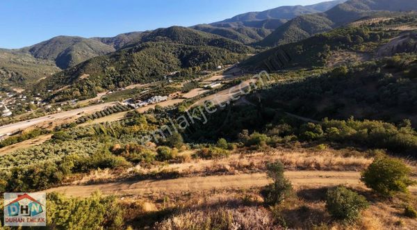 Yalova Duhan Emlak'tan Şenköy'de 261 M2 Satılık Köşe Parsel
