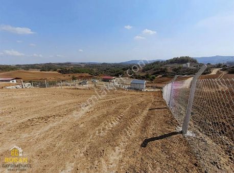 Boran Gayrimenkul'den Karaisalı Kuzgun Köyünde Satılık Arsa