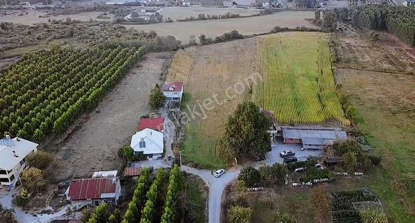 2-şeker Gayrimenkul-7275m2 Osb Karşısı Satılık Kısmi İmarlı Arsa