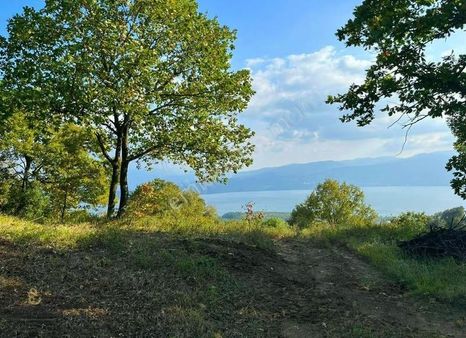 52-acil Satılık Serdivan 14260m² Sapanca Göl Manzaralı Arsa