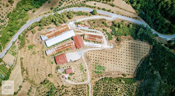 36 Dönüm, İçinde Çiftlik Ve Yem Üretim Tesisi Kurulu, Kupon Arsa